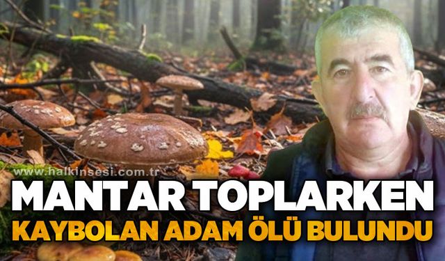 Mantar toplarken kaybolan yaşlı adam ölü bulundu