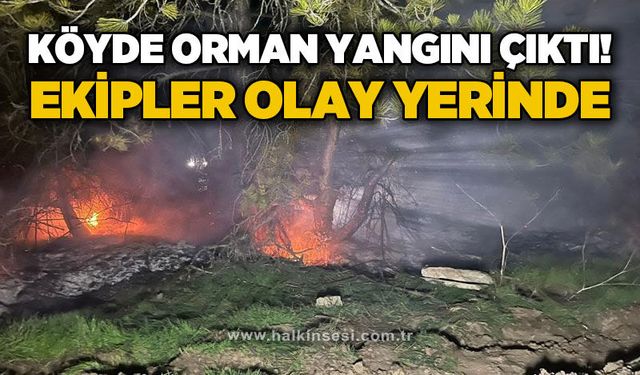 Köyde orman yangını: Ekipler olay yerinde