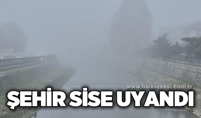 Şehir sise uyandı