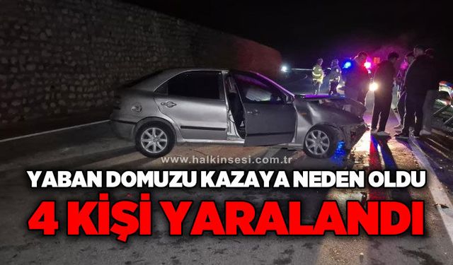 Yola çıkan yaban hayvanı kazaya neden oldu: 4 yaralı