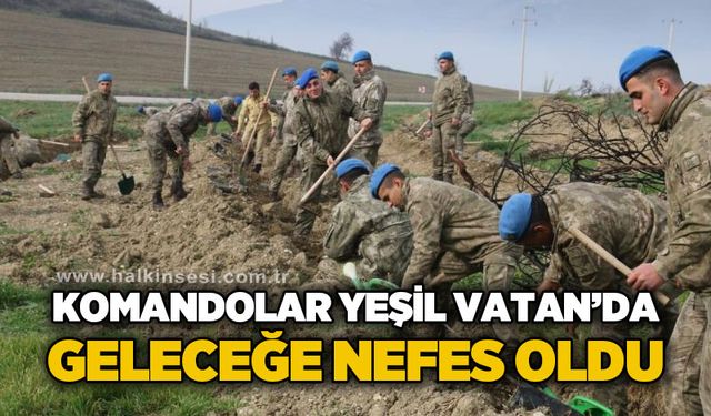 Komandolar yeşil vatanda geleceğe nefes oldu