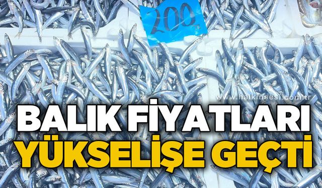 Balık fiyatları yükselişe geçti