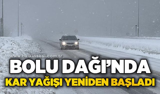 Bolu Dağı’nda kar yağışı yeniden başladı