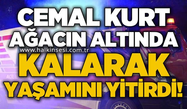 Cemal Kurt ağacın altında kalarak yaşamını yitirdi