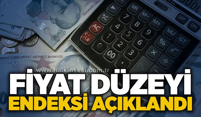 Fiyat düzeyi endeksi açıklandı