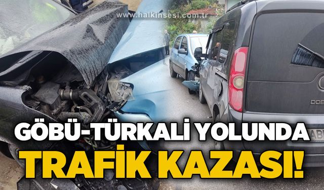 Göbü-Türkali yoluda kaza: İki araç kafa kafaya çarpıştı