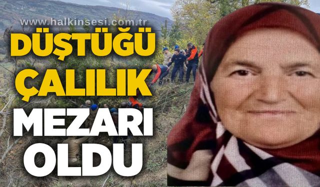 Düştüğü çalılık mezarı oldu