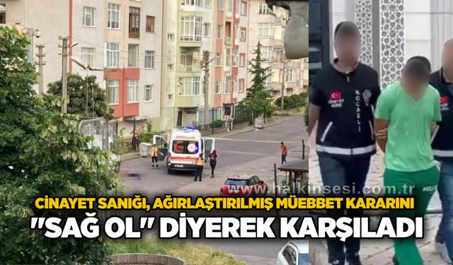 Cinayet sanığı, ağırlaştırılmış müebbet kararını "Sağ ol" diyerek karşıladı