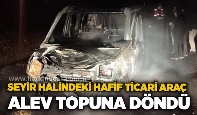 Seyir halindeki hafif ticari araç alev topuna döndü