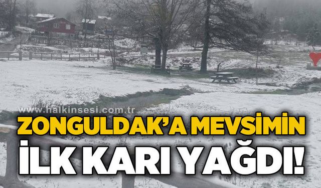 Zonguldak'a mevsimin ilk karı yağdı