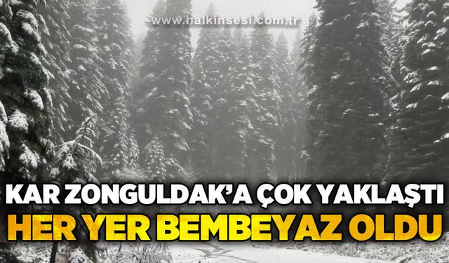 Kar Zonguldak'a çok yaklaştı: Her yer bembeyaz oldu