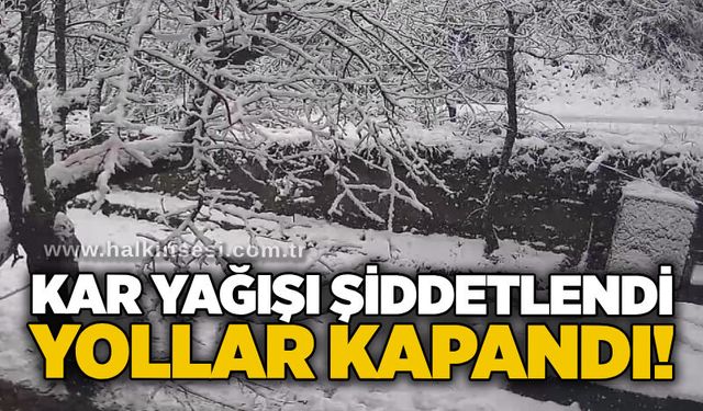Kar yağışı şiddetlendi: Yollar kapandı!