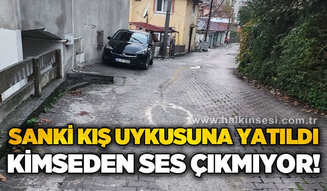 Sanki kış uykusuna yatıldı! Kimseden ses çıkmıyor!