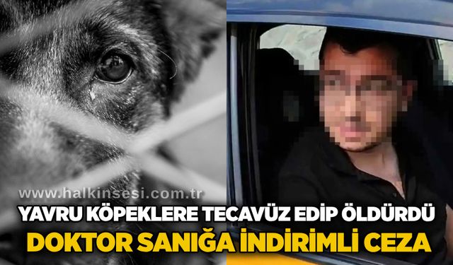 Yavru köpeklere te*avüz edip ö*dürdü: Doktor sanığa indirimli ceza