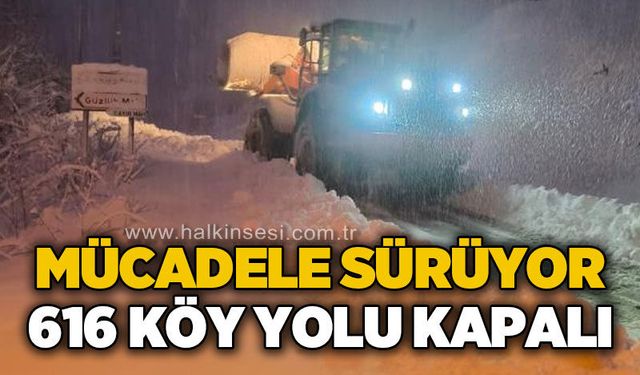 Karla mücadele sürüyor: 616 köyün yolu kapalı