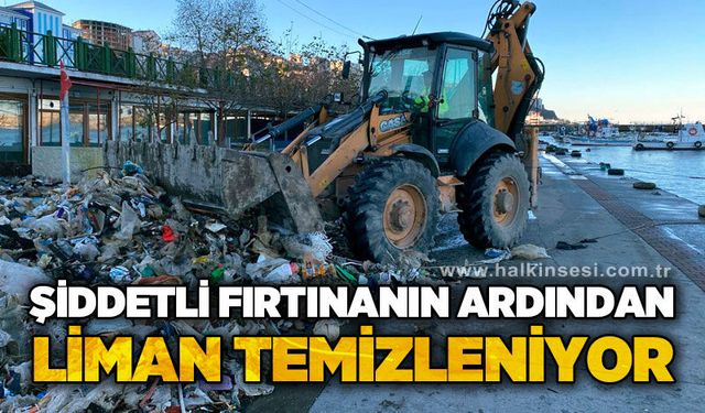 Kozlu Limanı'nda fırtına sonrası temizlik başladı