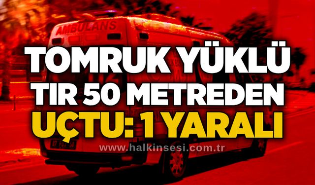 Tomruk yüklü tır 50 metreden uçtu: 1 yaralı