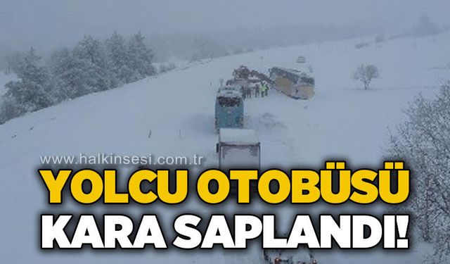 Yolcu otobüsü kara saplandı