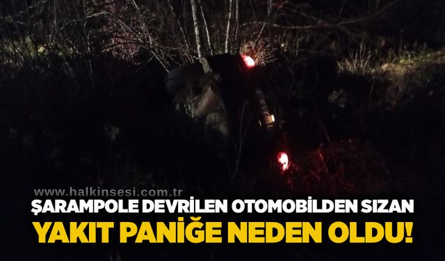Şarampole devrilen otomobilden sızan yakıt paniğe neden oldu!