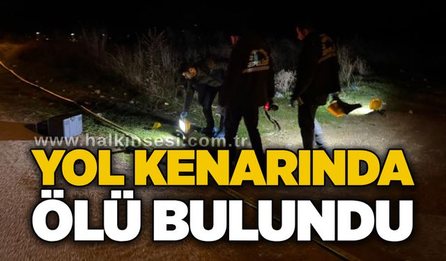 Yol kenarında ölü bulundu