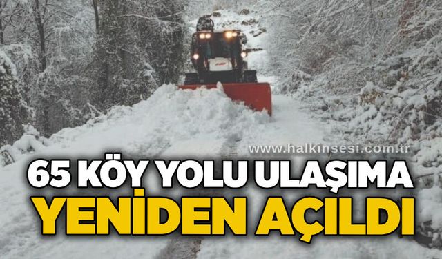 65 köy yolu ulaşıma yeniden açıldı