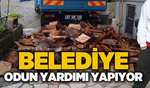 Belediye odun yardımı yapıyor