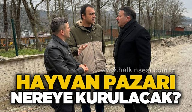 Hayvan Pazarı nereye kurulacak?