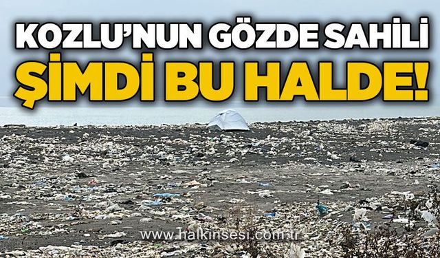 Kozlu'nun gözde sahili şimdi bu halde!