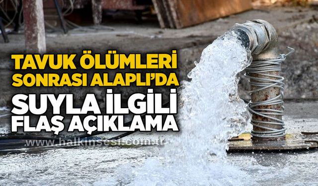 Tavuk ölümleri sonrası Alaplı’da suyla ilgili flaş açıklama