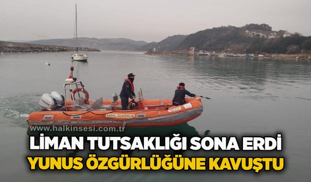 Liman tutsaklığı sona erdi: Yunus özgürlüğüne kavuştu