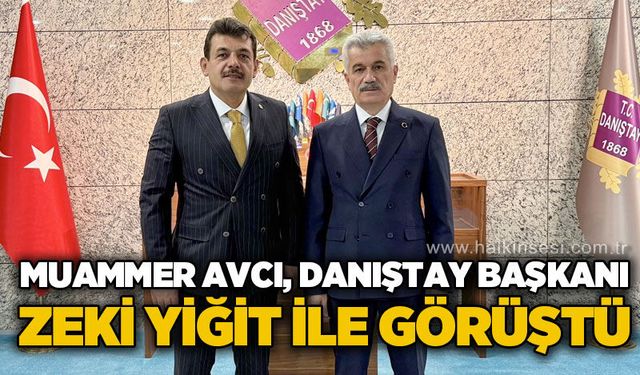 Muammer Avcı Danıştay Başkanı Zeki Yiğit ile görüştü