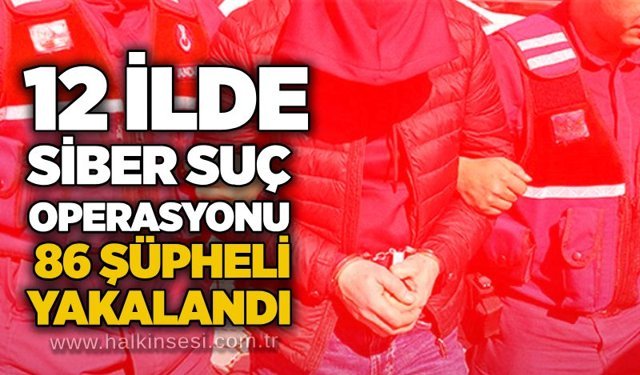 12 ilde siber suç operasyonu: 86 şüpheli yakalandı