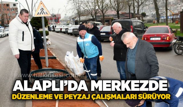 Alaplı’da merkezde düzenleme ve peyzaj çalışmaları sürüyor