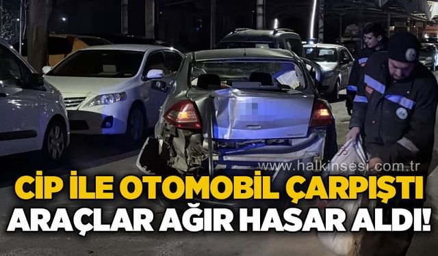 Cipe otomobil çarpıştı: Yaralanan olmadı