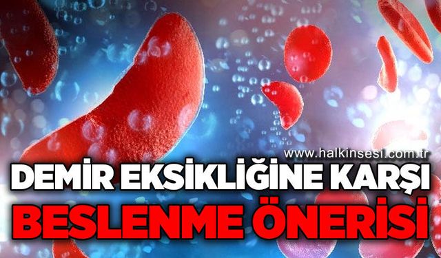 Demir eksikliğine karşı beslenme önerisi