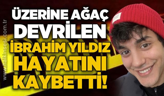 Üzerine ağaç devrilen İbrahim Yıldız hayatını kaybetti