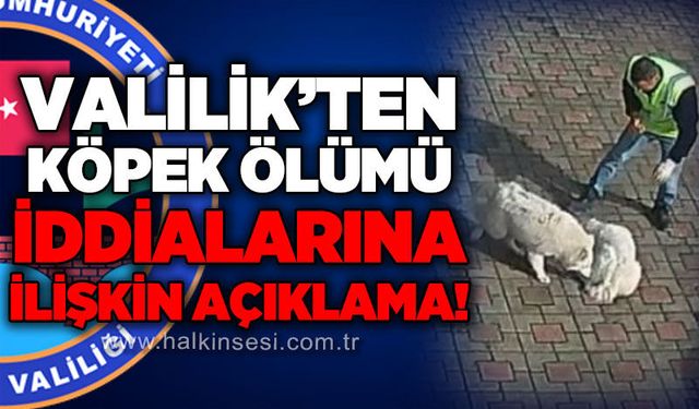 “Valilik Konağı’nda köpek ölümü” iddialarına açıklama