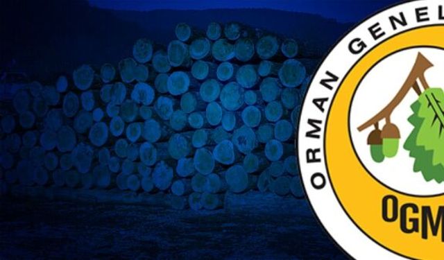 Orman çalışmalarının takibi ve kontrolü hizmeti alınacak