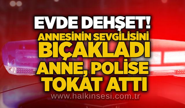 Evde dehşet! Annesinin sevgilisini bıçakladı, anne polise tokat attı