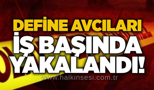 Define avcıları iş başında yakalandı!