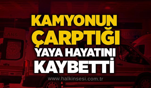 Kamyonun çarptığı yaya hayatını kaybetti