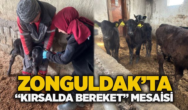 Zonguldak’ta “Kırsalda bereket” mesaisi: İşletme denetimi ve küpeleme çalışmaları sürüyor
