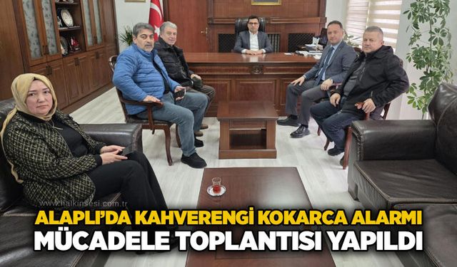 Alaplı’da kahverengi kokarca alarmı: Mücadele toplantısı yapıldı
