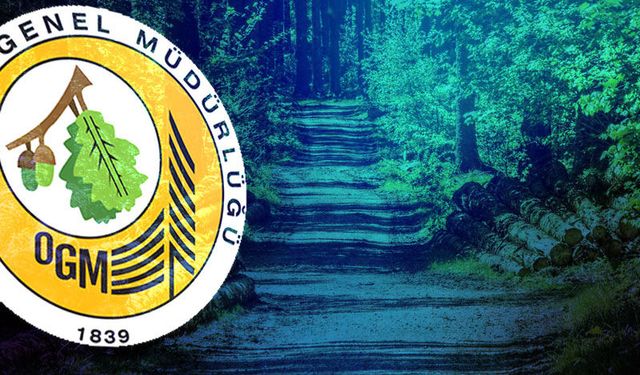 Yeni orman yolları yapım işi ihale edilecek