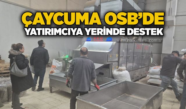 Çaycuma