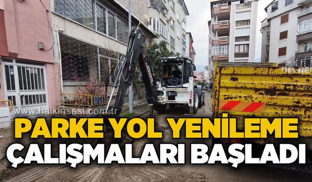 Parke yol yenileme çalışmaları başladı