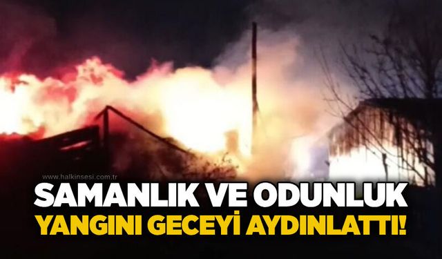 Samanlık ve odunluk yangını geceyi aydınlattı!