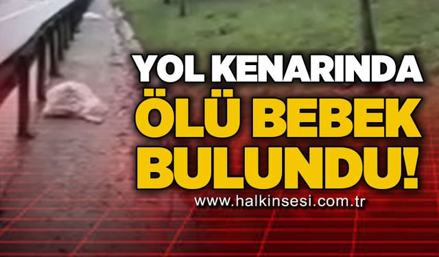 Yol kenarında ölü bebek bulundu