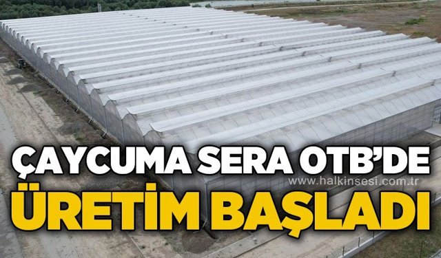 Çaycuma