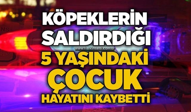 Köpeklerin saldırdığı 5 yaşındaki çocuk hayatını kaybetti